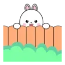 Lovely Rabbit 15 MOV. 18