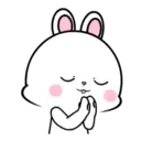 Lovely Rabbit 15 MOV. 10