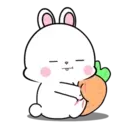 Lovely Rabbit 15 MOV. 2