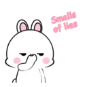 Lovely Rabbit 15 MOV. 19