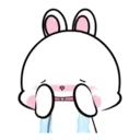 Lovely Rabbit 15 MOV. 20