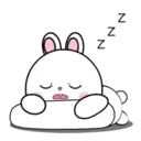 Lovely Rabbit 15 MOV. 15