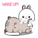 Lovely Rabbit 15 MOV. 8