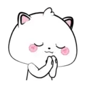 Lovely Vanilla Cat MOV. 11