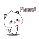 Lovely Vanilla Cat MOV. 10