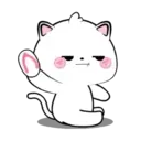Lovely Vanilla Cat MOV. 19