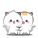 Lovely Vanilla Cat MOV. 16