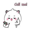 Lovely Vanilla Cat MOV. 7