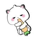 Lovely Vanilla Cat MOV. 4