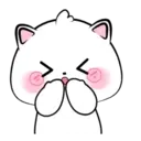 Lovely Vanilla Cat MOV. 14