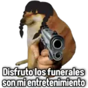Memes Wednesday Merlina ️ 12