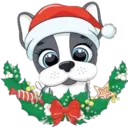 Navida cute ️ ️ 3