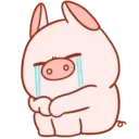 Pig Babitah MOV. 7