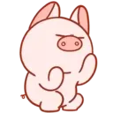 Pig Babitah MOV. 21
