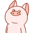 Pig Babitah MOV. 8