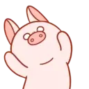 Pig Babitah MOV. 16