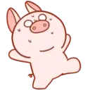 Pig Babitah MOV. 24