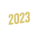 Año Nuevo 2023 12