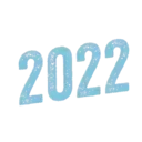 Año Nuevo 2023 15
