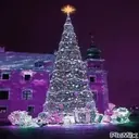 Árboles de Navidad 1 29