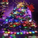 Árboles de Navidad 1 14