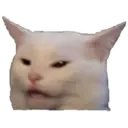 cats 3