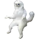 cats 10