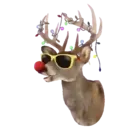 Christmas 2022 1 Movi 26