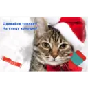 Одевайся теплее!!
На улицу холодно!
fotor