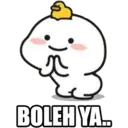 BOLEH YA..