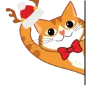 Mister Puss Edisi Natal 5