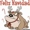 NAVIDAD 2022࿅(1) Movi 27