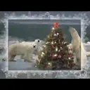 Navidad Cuad.11 Mov.1712 24