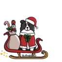 Navidad Perruna♤1 Movi 9