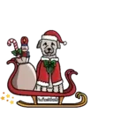 Navidad Perruna♤1 Movi 12