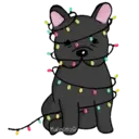 Navidad Perruna♤1 Movi 22