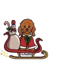 Navidad Perruna♤1 Movi 11