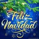 Navidad 4 Movimiento 24
