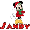 ALLIAN
JANDY