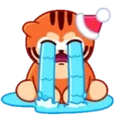 New Year Tiger 12