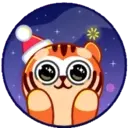 New Year Tiger 11