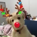 ل Tik Tok The am 30
