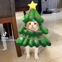 ل Tik Tok duque_panduque