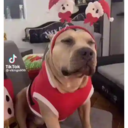 مل TikTok @vikingo606