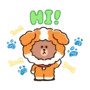 puppy brown 16
