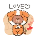 puppy brown 9
