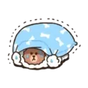 puppy brown 6