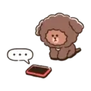 puppy brown 24