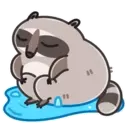 Raccoony Days 4