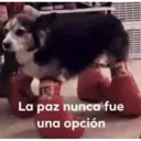 La paz nunca fue una opción